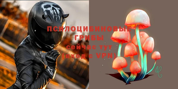 дмт Алзамай