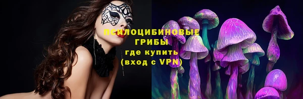 тгк Алексеевка