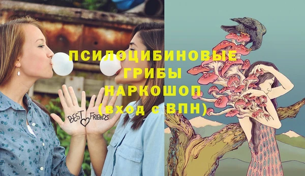 тгк Алексеевка
