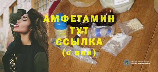 дмт Алзамай