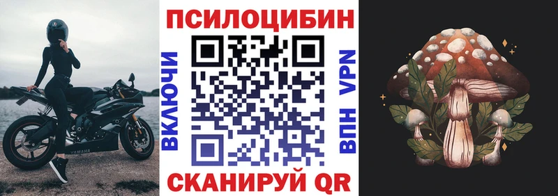 Псилоцибиновые грибы мицелий  blacksprut   Междуреченск 